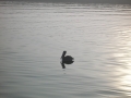 DSCN1094.JPG