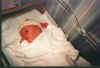 baby3.jpg (53537 bytes)