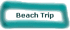 Beach Trip