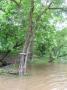 DSCN0708.JPG