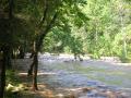 DSCN0726.JPG