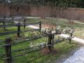 DSCN0405.JPG