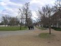 DSCN0414.JPG