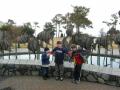 DSCN0349.jpg